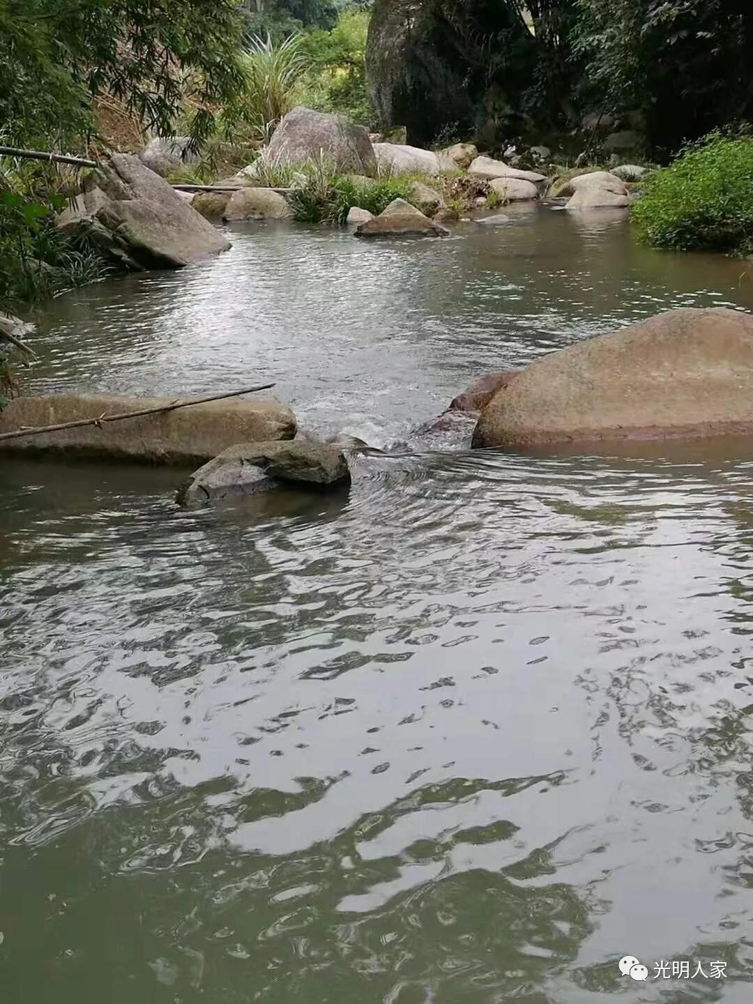 平阳鳌江镇古村落,鳌江市古村视频