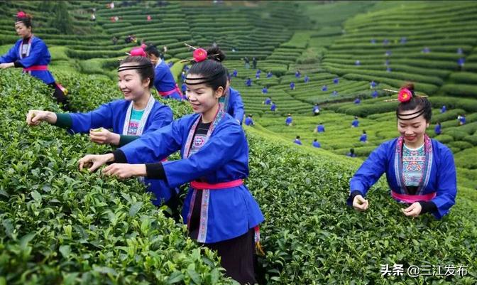 【“5.19”中国旅游日】国家移民管理局各边检总站齐发力，同为三江旅游扶贫打call!