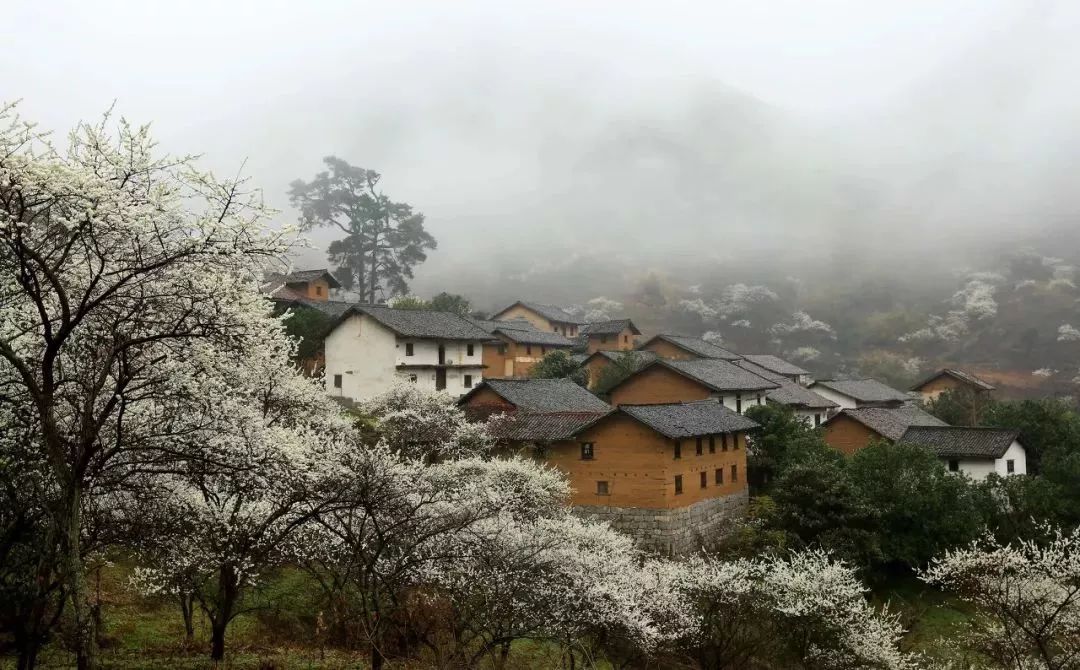 广西有座小城,广西这个宜居小城很低调