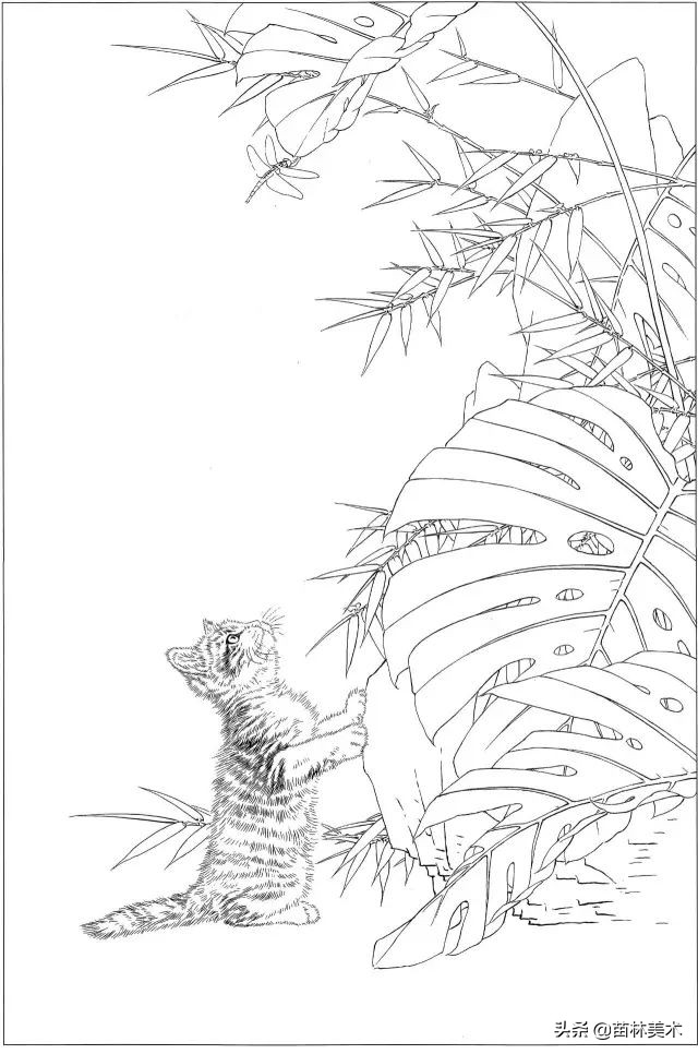 国画工笔猫白描,邢诚爱工笔画猫白描底稿