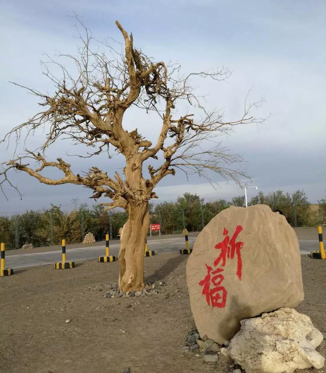 世纪悦途国际旅行社,世纪悦途旅游京津冀