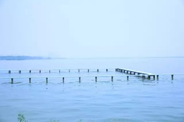 武汉市最热门的春游景点,2022武汉春游好去处