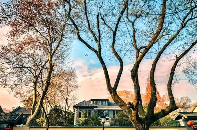 一到秋天南京就成了金陵,一入秋南京就成了金陵