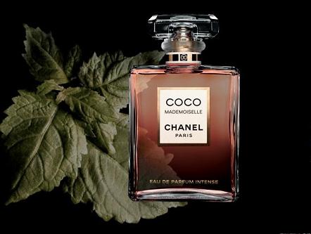 香奈儿coco馥郁香水使用年龄,香奈儿coco小姐和馥郁的瓶子区别
