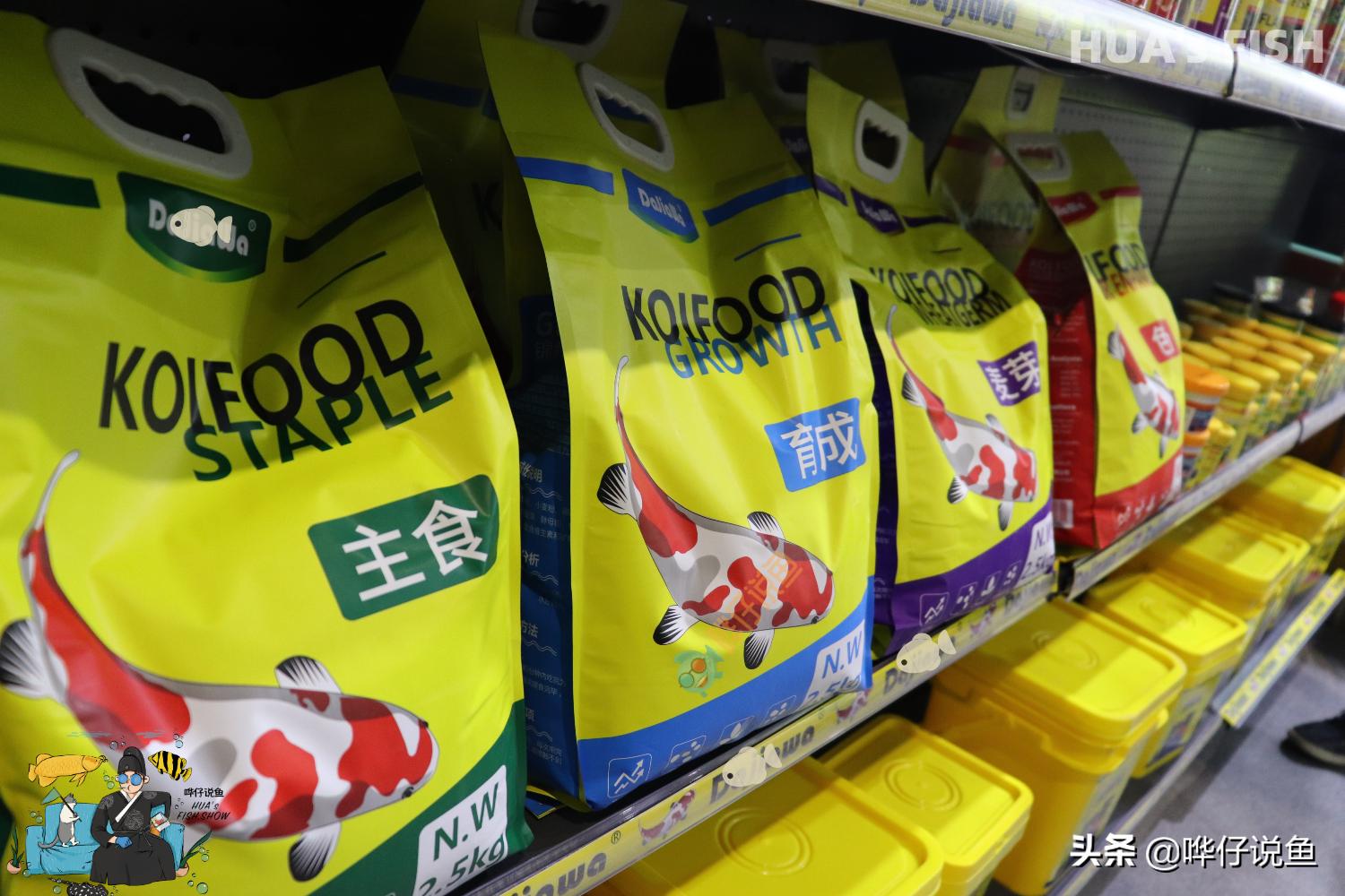 如何选择有营养的鱼粮,观赏鱼粮怎么选