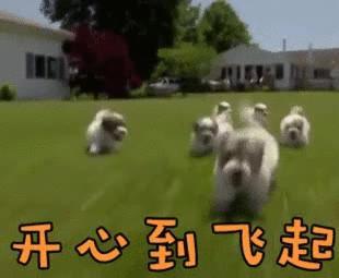 吃了几只螃蟹，浙江4名小伙脑子和肺被虫啃了！这道美食惹的祸！很多人都吃过