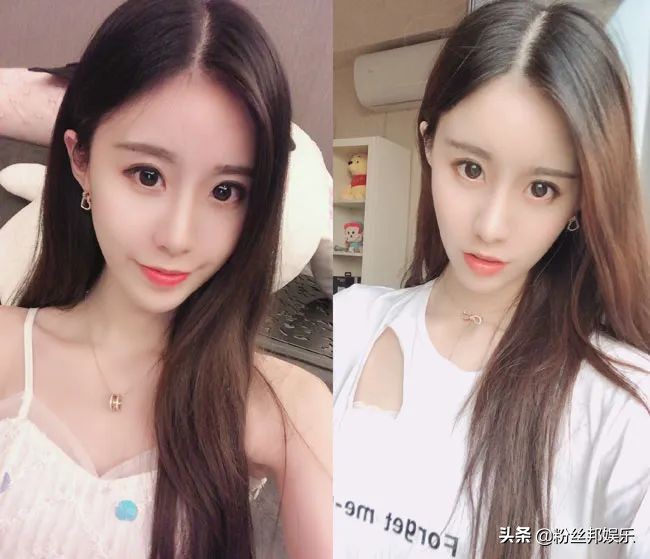 210万解约费不合理，素素质问星哥身份，娱加声明星盟老板非文儿