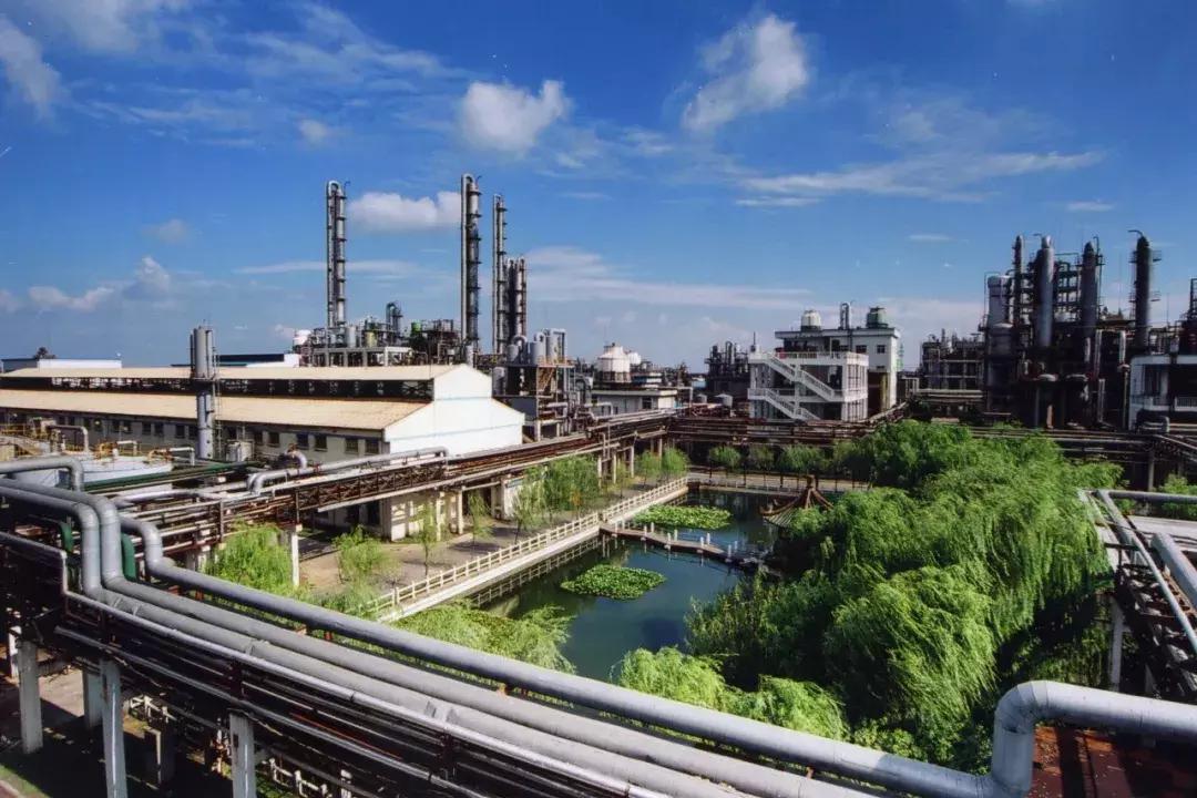 中国精细百强系列|扬农：培育改变未来的绿色竞争力