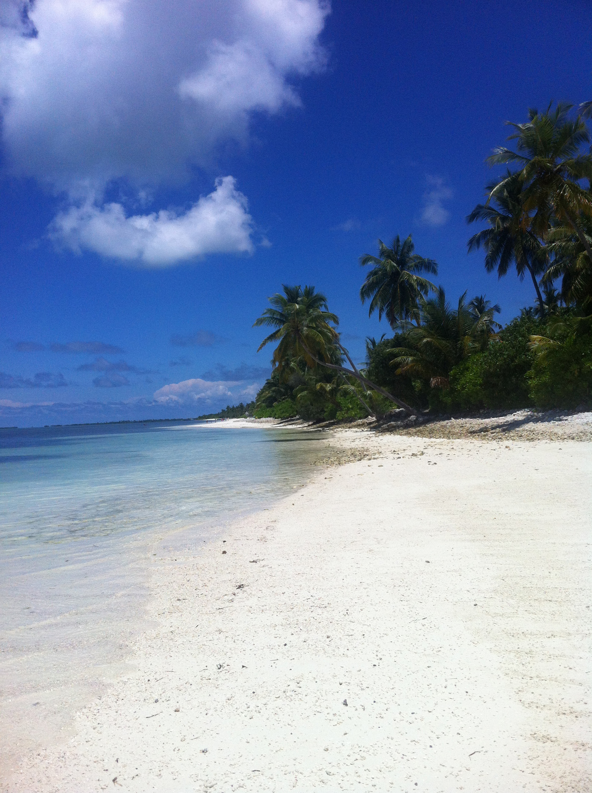 毛里求斯自由行准备,毛里求斯旅游6天5晚