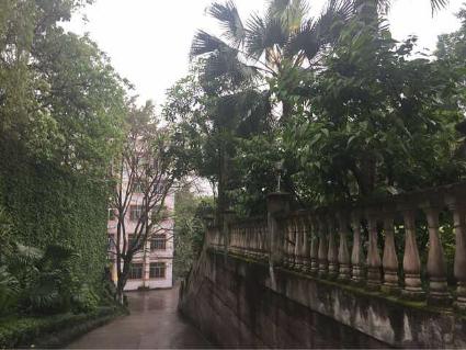 重庆南岸小学排名2016,重庆南岸小学学校排名