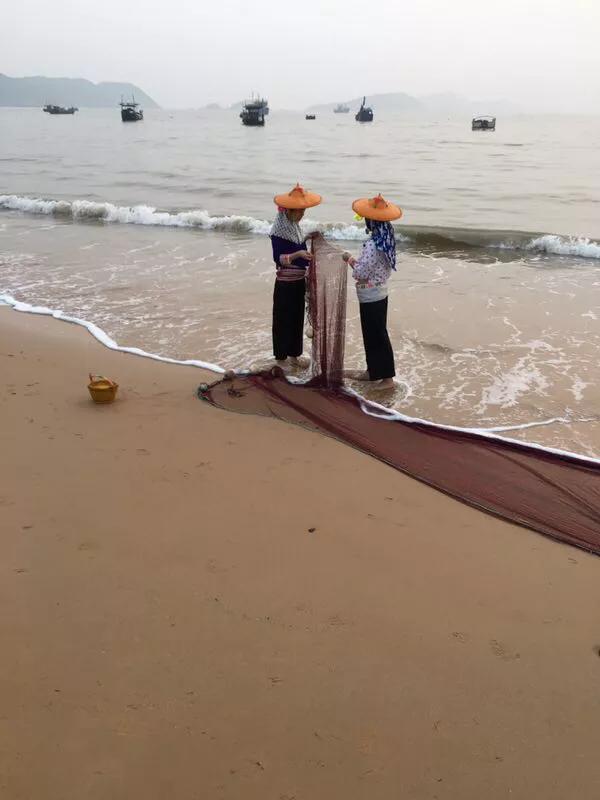 手拍世界,手拍世界作品专集