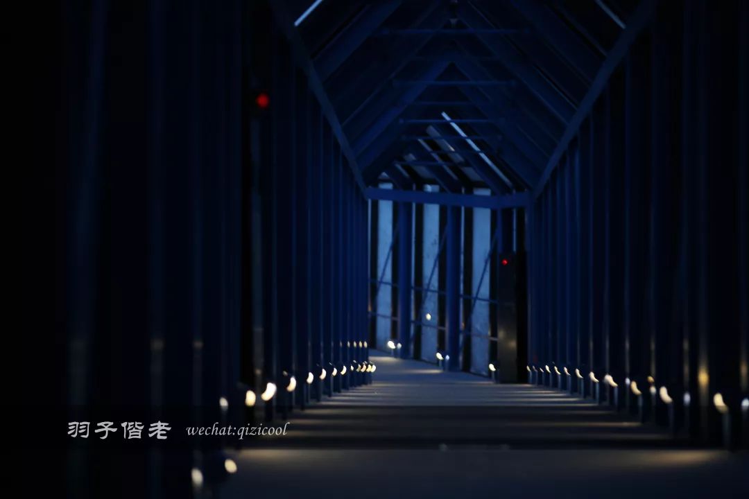 老实说，这一趟北海道就是为了拍好看的照片去的