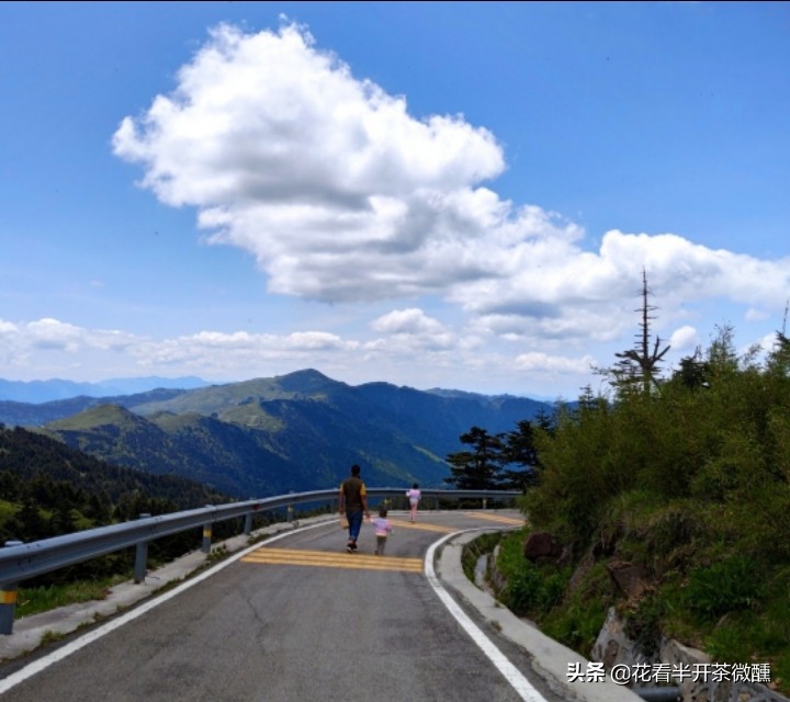 神农顶瞭望塔风景区,神农顶为什么叫华中第一哨