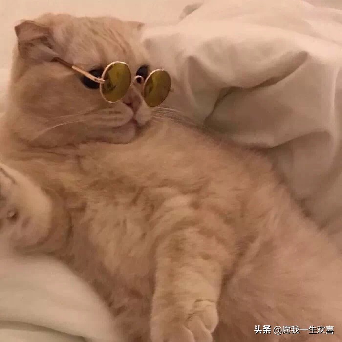 情侣头像是情侣最基本的吗,理想的情侣头像一对