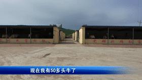 走向我们的小康社会,脱贫致富的小康生活