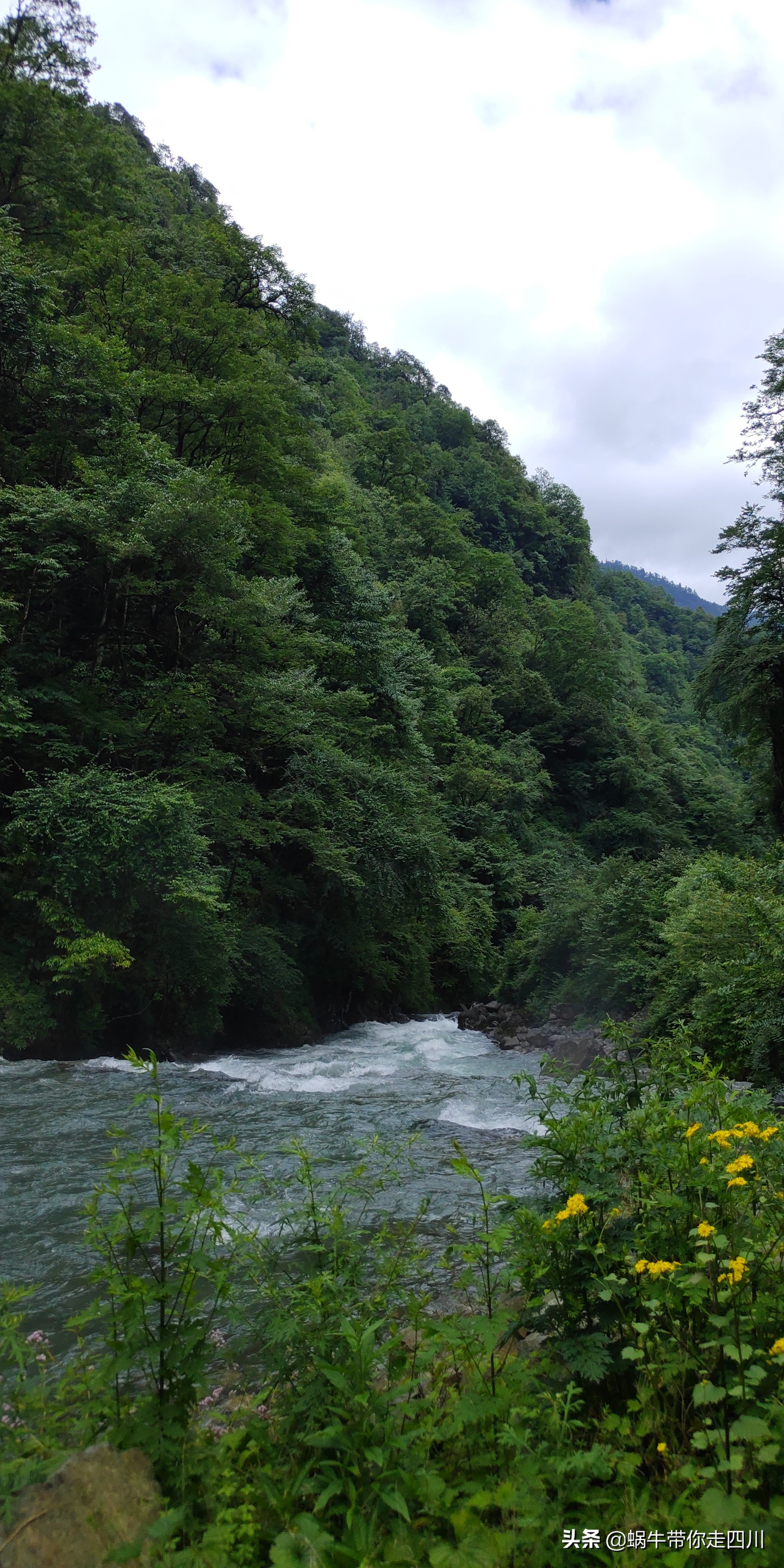 成都到西藏旅游一家三口,成都出发三天两夜旅行套票