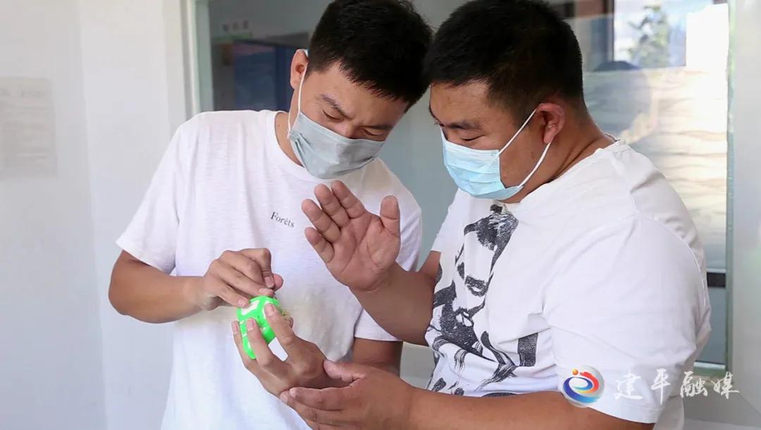 农村能人助力乡村振兴方案,乡村振兴培育致富带头人