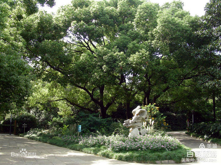 上海中山公园公寓,上海中山公园游玩攻略