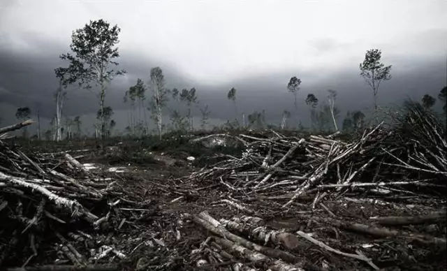 漂白纸与本色纸的区别,本色纸是什么颜色的纸