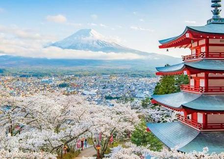 3块钱从中国进口,换个包装3万卖出,游客:还是日本会赚钱