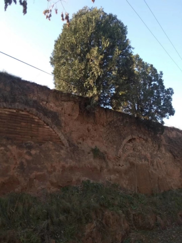 窑背上铺什么,窑背用什么材质盖好