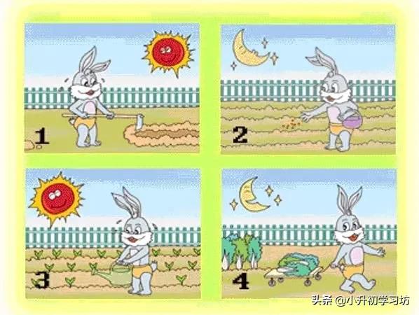 一年级开学第一天的看图写话,二年级寒假看图写话9篇