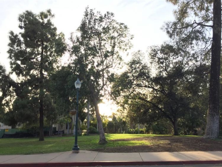 出国留学避免四个坑,留学生不得不防的留学陷阱