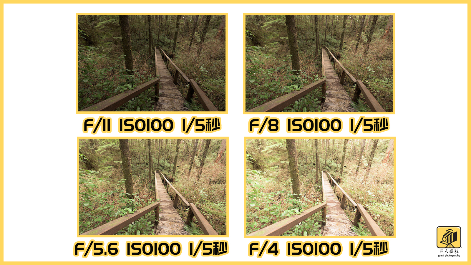 摄影基础光圈和景深的区别,摄影新手必须掌握的光圈用法