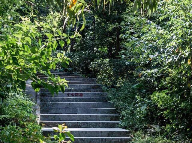 深圳免费公园适合儿童,深圳免费公园哪里最好啊