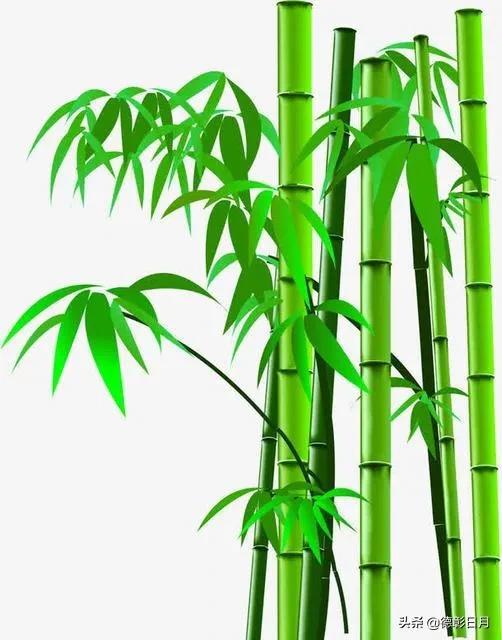 浅议辅助费,浅议成本管理