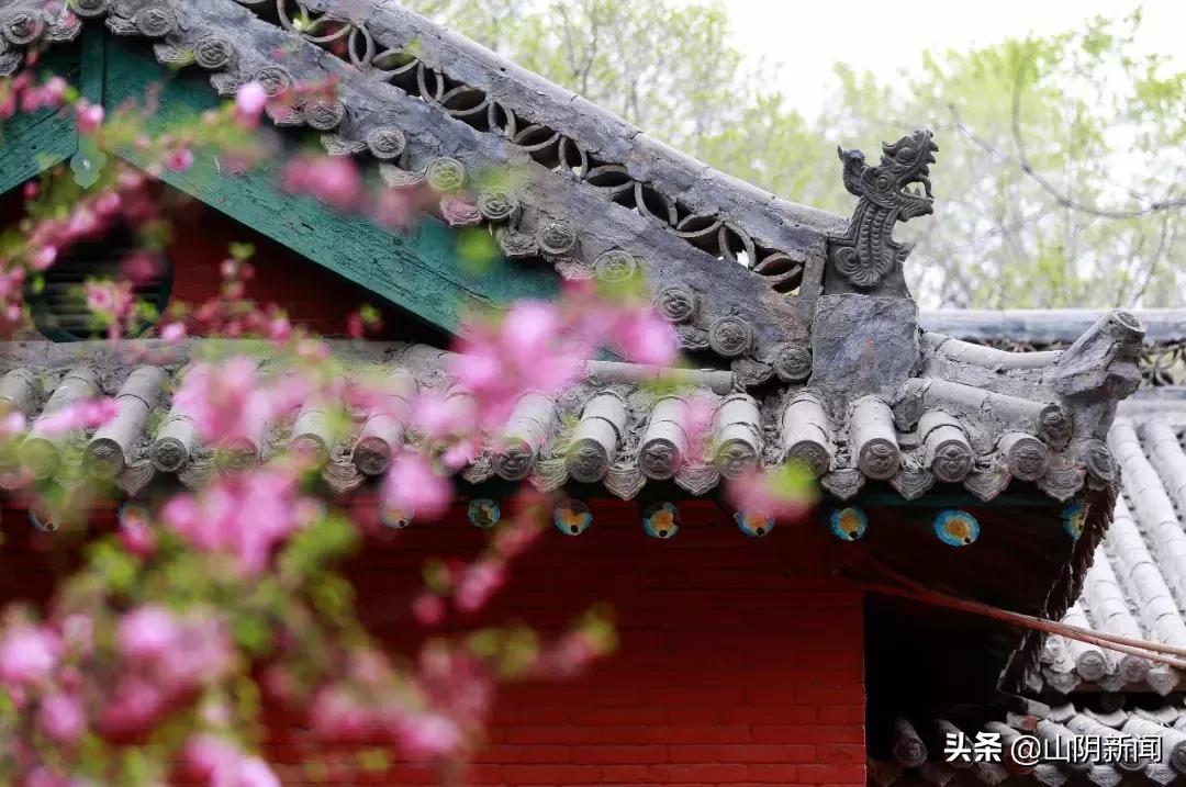 春天里最美的遇见歌曲,春天最美的文案就是油菜花