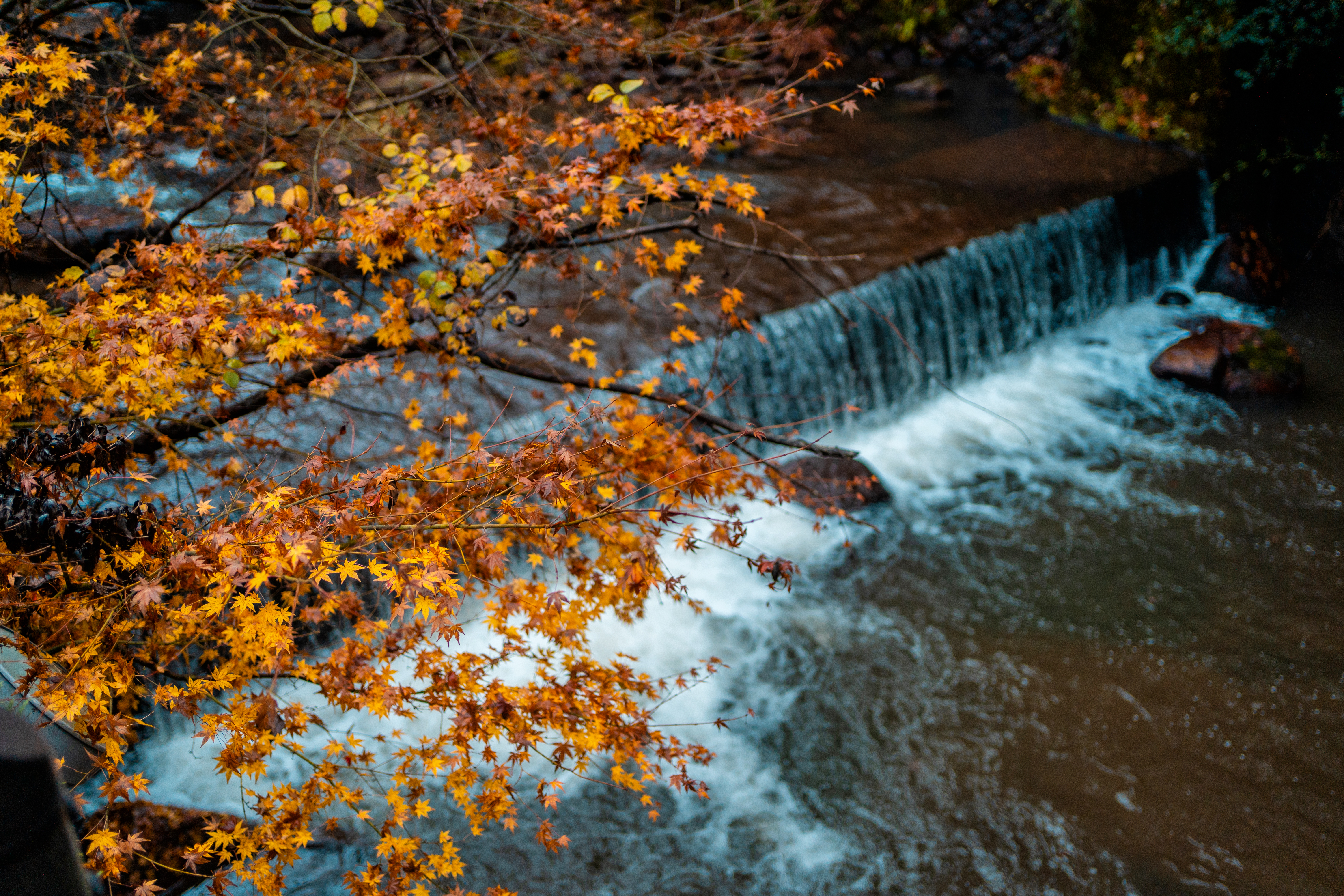 日本九州|一个被温泉唤醒的秘境，超超超小众的日本旅行目的地