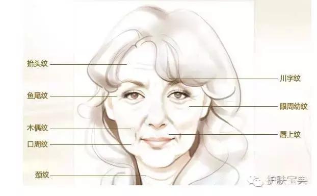 泽佳抗衰老精华,泽佳的抗衰老方法