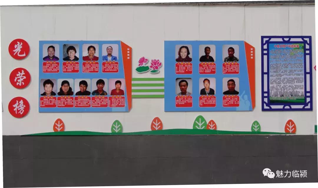 临颍:尚纪安计划5年把刘庄打造成河南最大的花卉种植交易基地