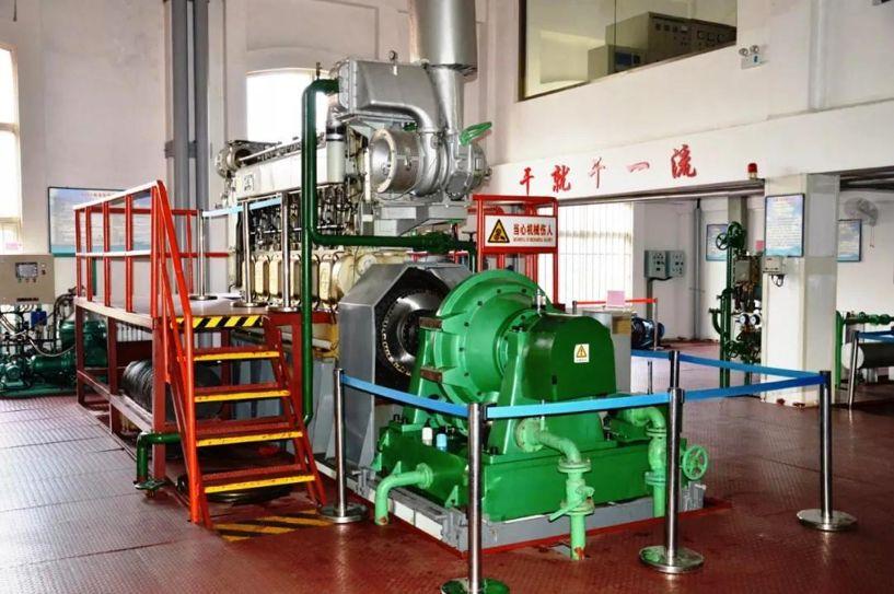 大学最冷门偏冷专业,被冷门专业录取了