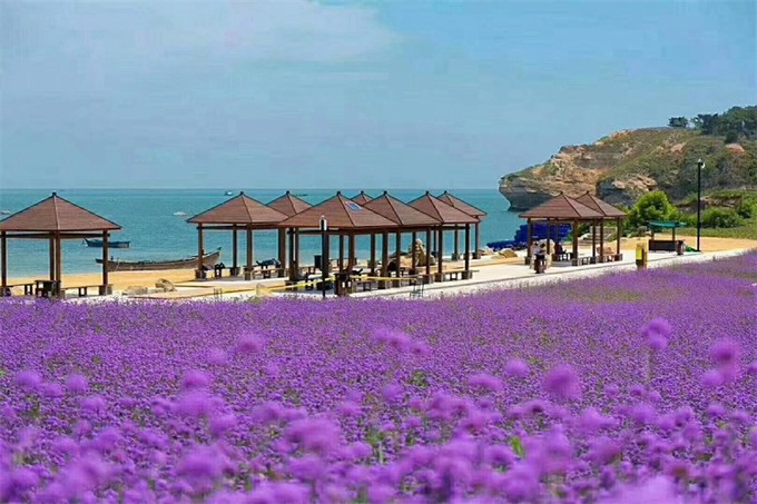 大连吃住行便宜地方,大连攻略全在这里