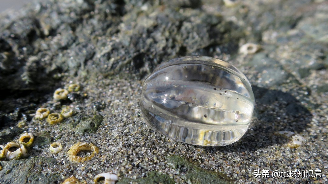 全球旅行攻略干货,全球旅行不为人知的秘密