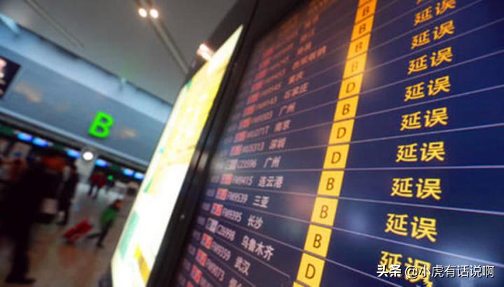 女子利用延误险漏洞,女子利用航班延误险5年赚300万