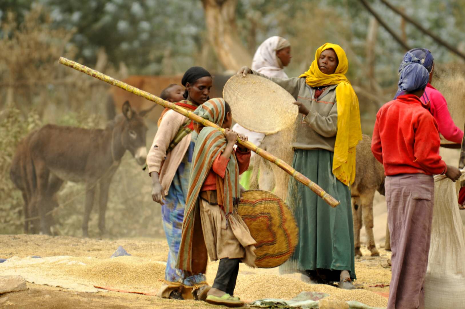 25岁去非洲，30岁回到中国，我在非洲工作的五年青春