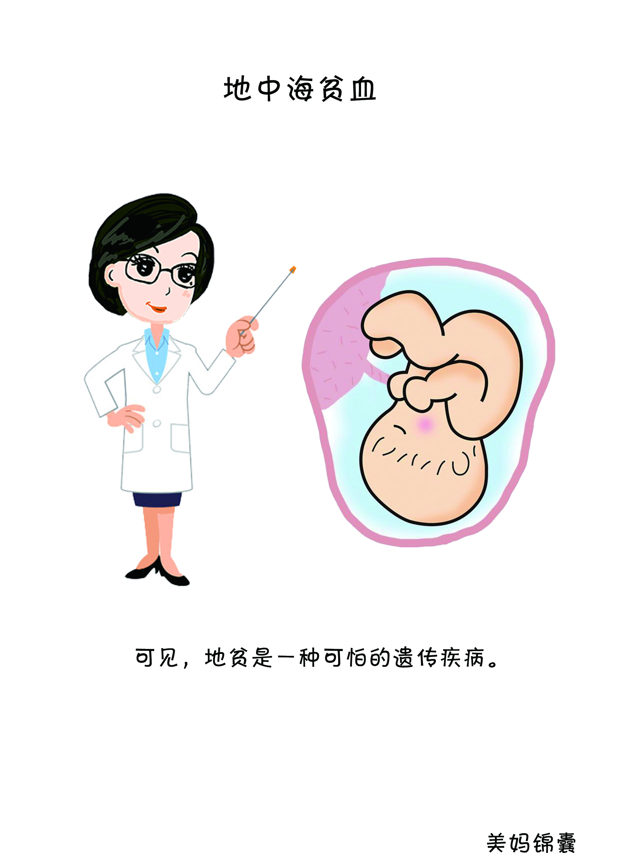 什么是地中海贫血高代谢状态,什么是地中海贫血孕妇