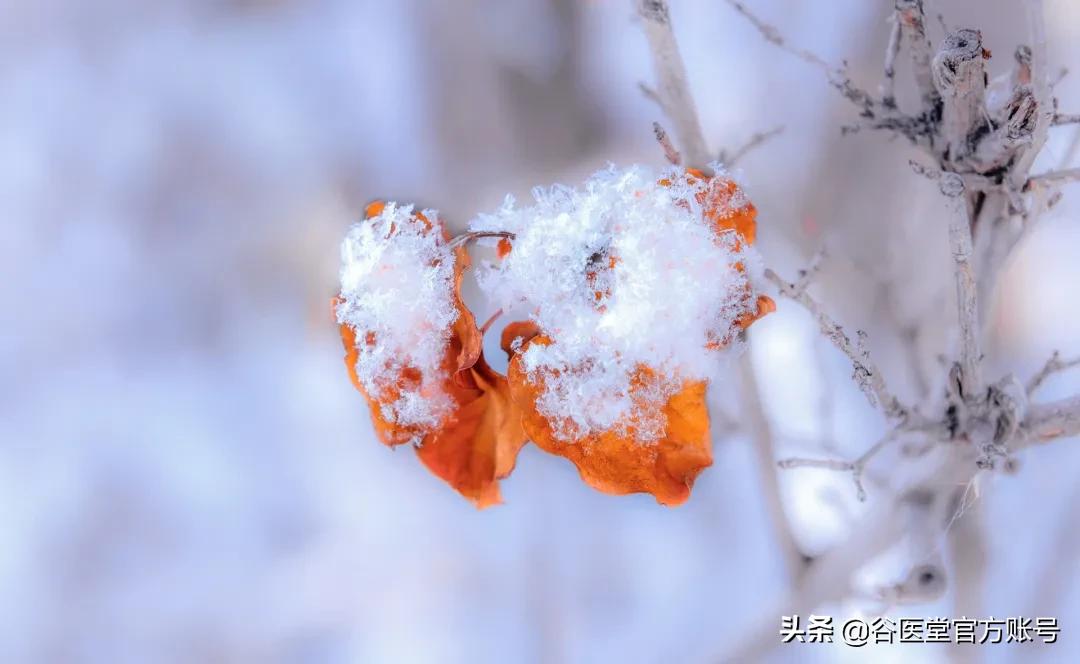 天气冷糖尿病更加重什么原因,寒潮暴雪的危害