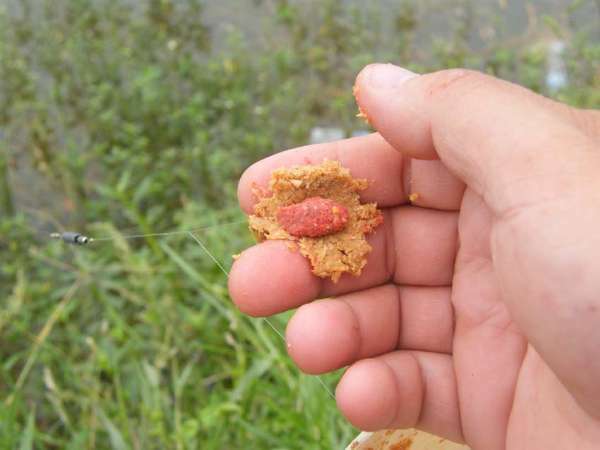 传统钓小杂鱼闹窝怎么办,应对小杂鱼闹钩方法技巧