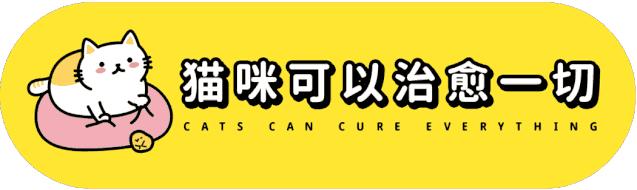 对着猫吹气会怎么样,对着猫吹烟有害吗