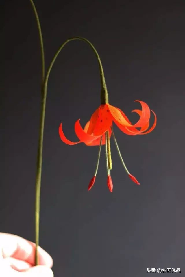 手工有趣的花,精美手工又漂亮又简单