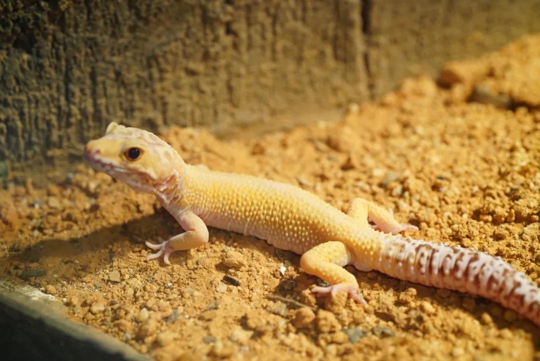 占地30000㎡！这艘建在安华汇天台上的巨船，竟是亲子乐园