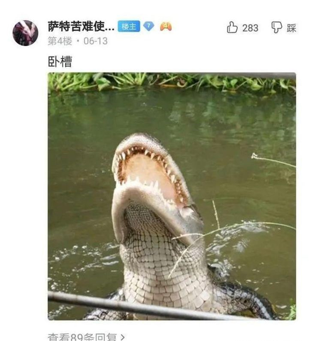 文能提笔安天下武能握枪保家国,文能提笔安天下武能挥刀治国家