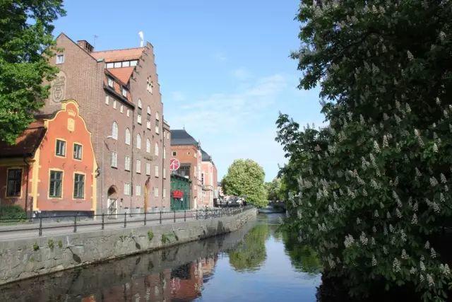 深夜除了晒烤串，还能晒太阳