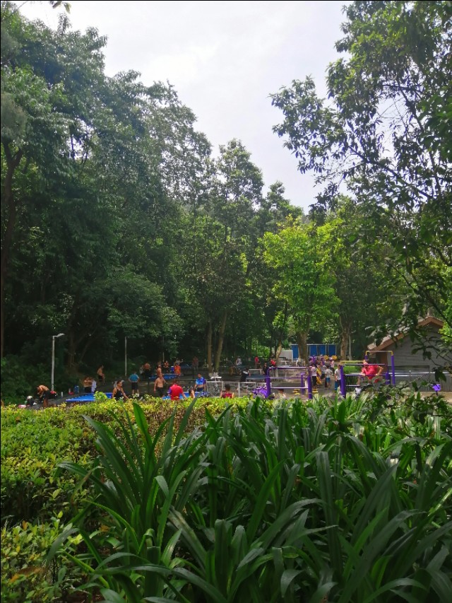 东莞旗峰公园掠影,东莞旗峰公园大体俯视图片