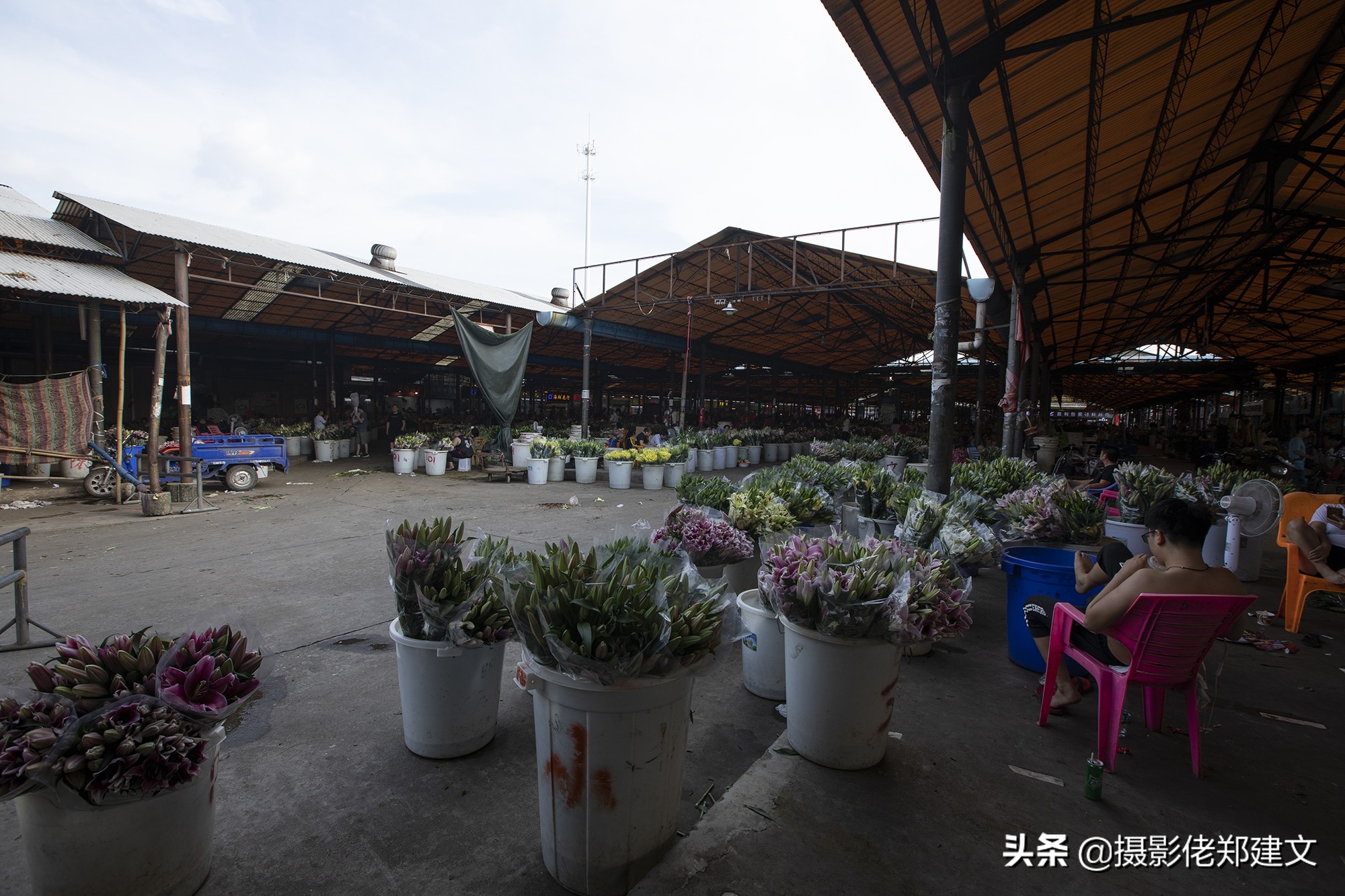 中国最大鲜花交易市场在哪座城市,南方最大的批发鲜花市场