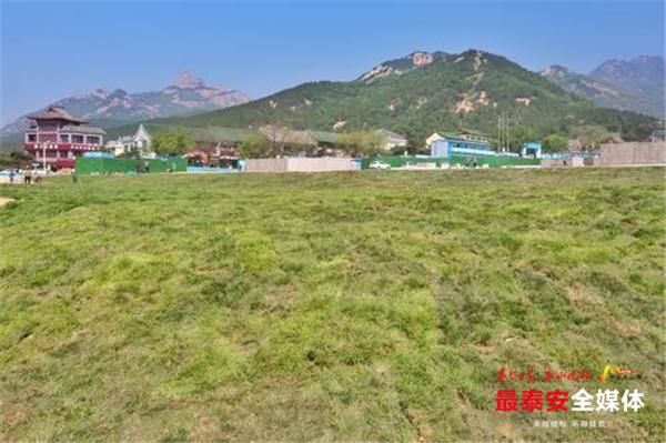 泰山岱庙附近有免费停车场,泰山景区岱庙停车场怎么收费